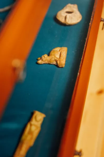Vitrinenschubladen mit kleinen Objekten